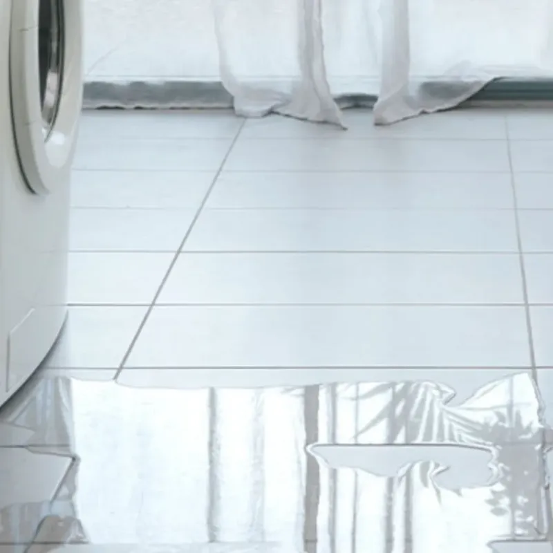 Appliance Leak Cleanup in Harrison, AR