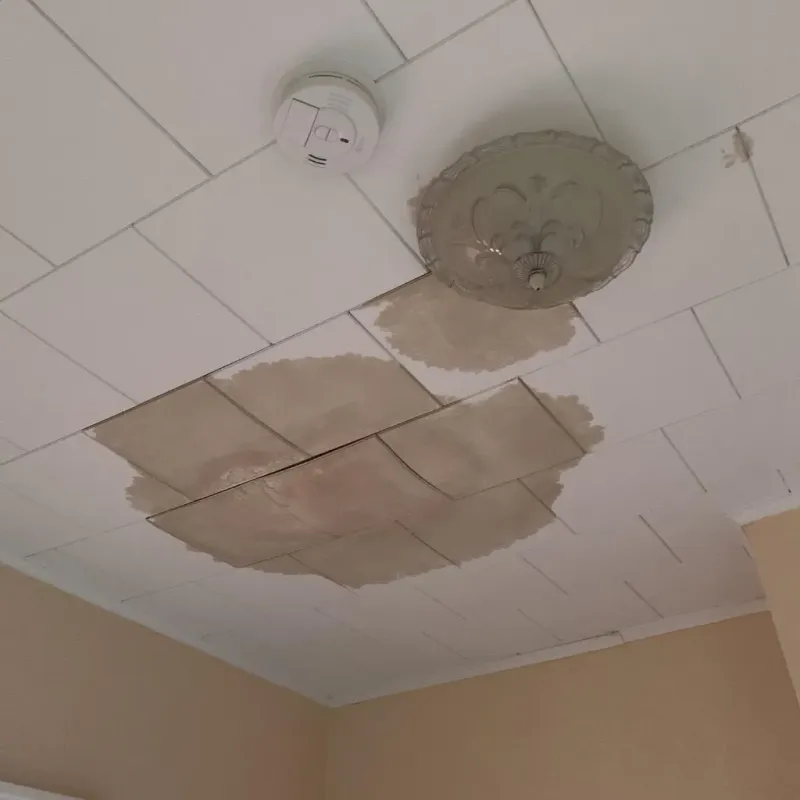 Ceiling Water Damage Repair in Harrison, AR