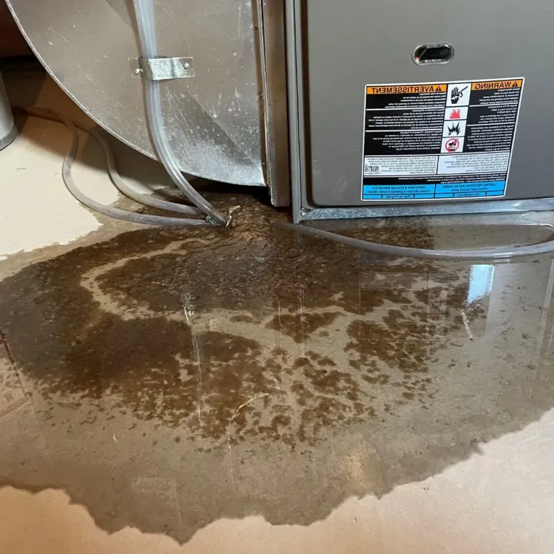 Pipe Burst and Leak Restoration in Harrison, AR