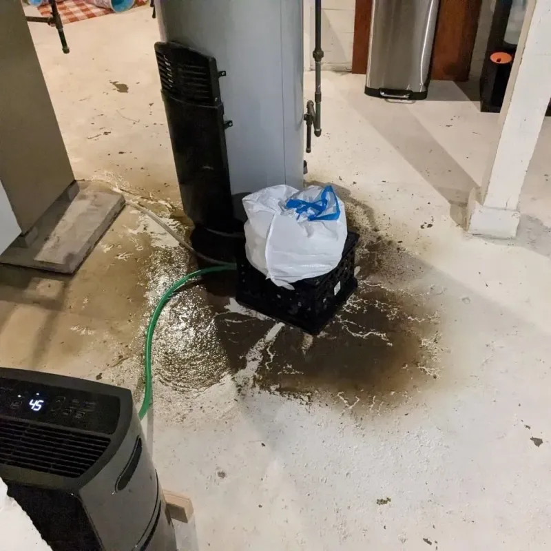 Sewage Backup Cleanup Service in Harrison, AR